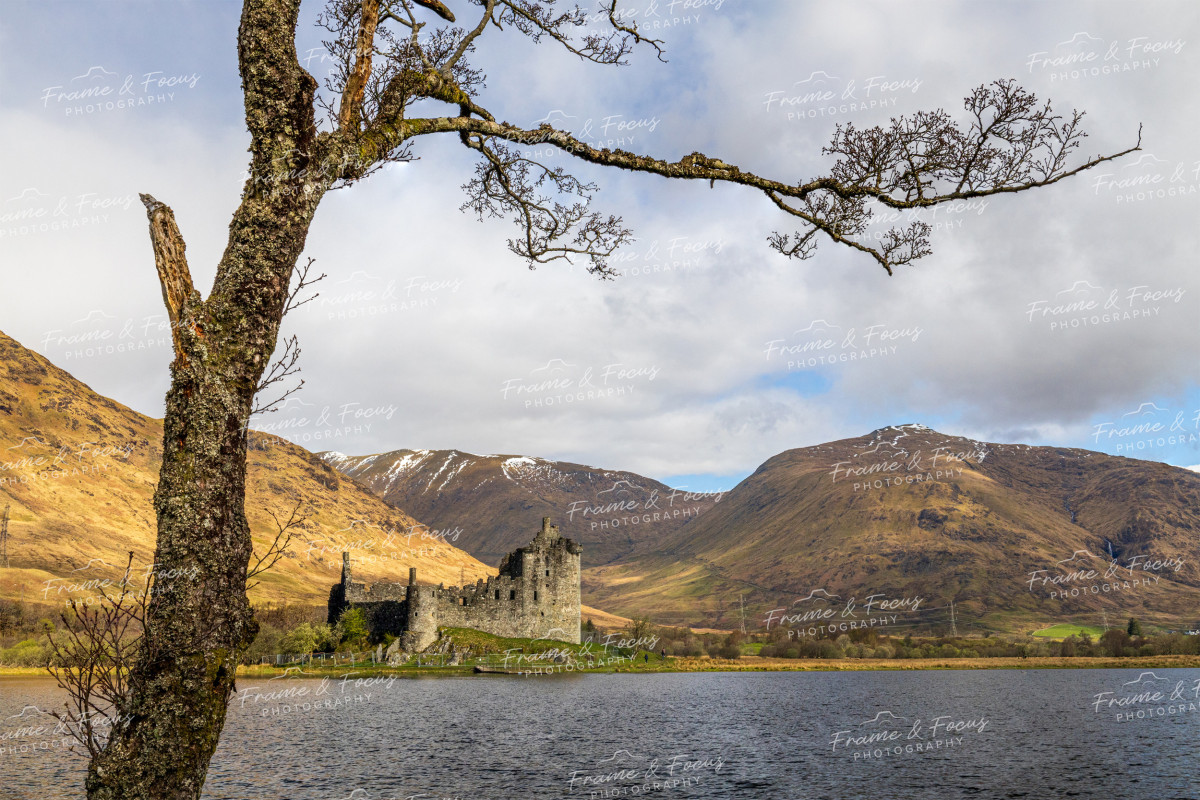 To buy a print or any of the below please click on the images